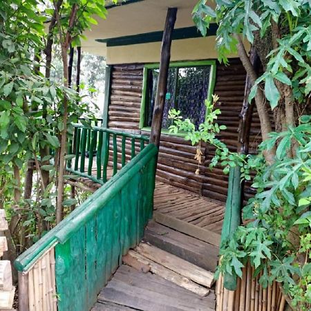Ruhija Community Rest Camp Bed and Breakfast Kabale Exteriör bild